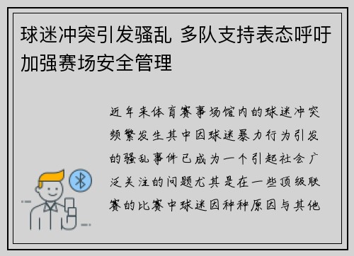 球迷冲突引发骚乱 多队支持表态呼吁加强赛场安全管理