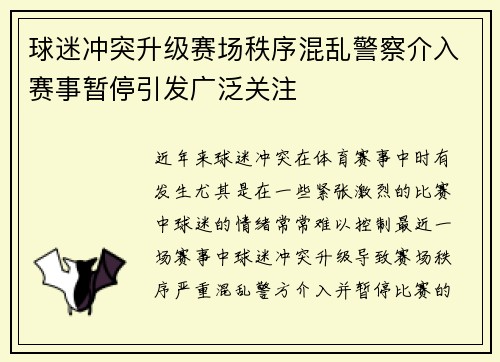 球迷冲突升级赛场秩序混乱警察介入赛事暂停引发广泛关注